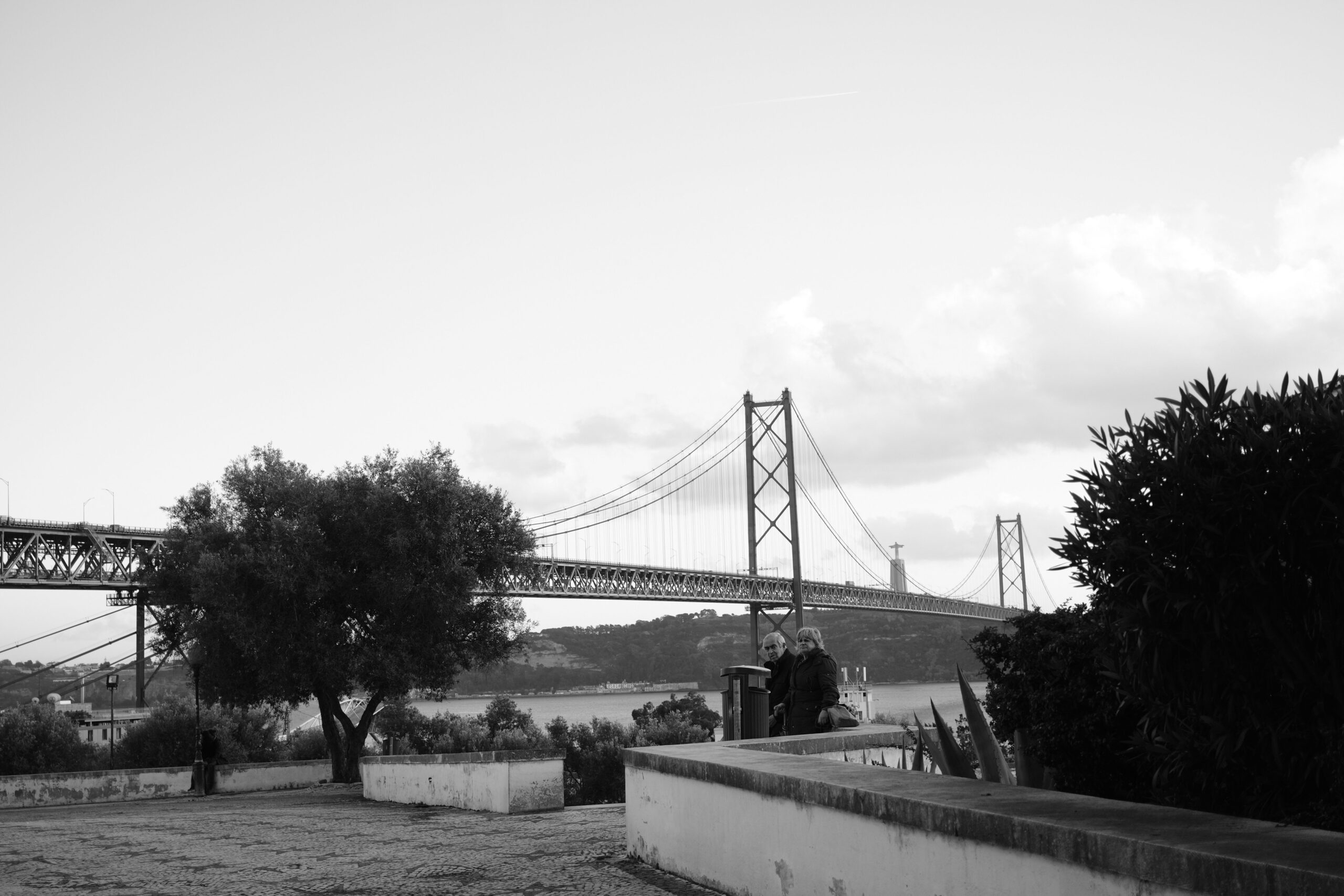 DSCF6555
