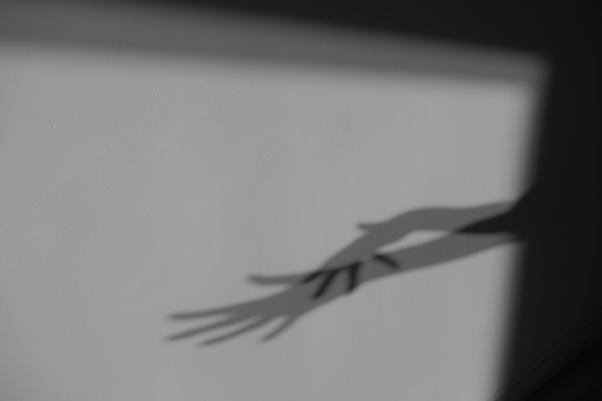 DSCF1331