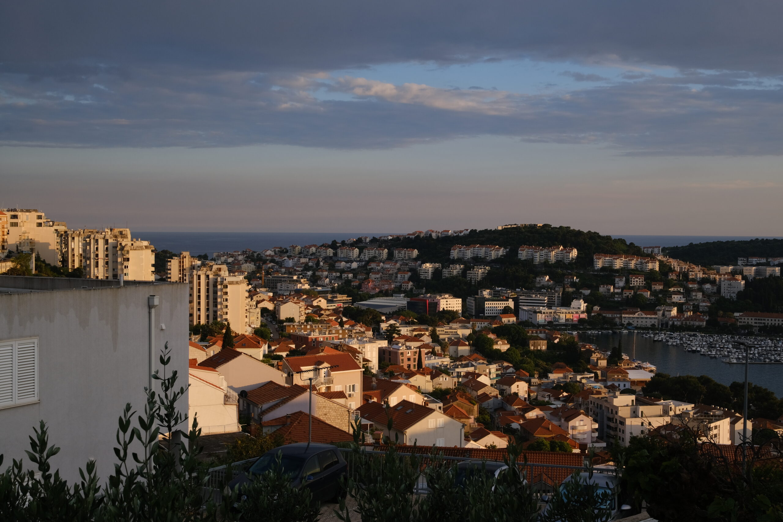 DSCF8561